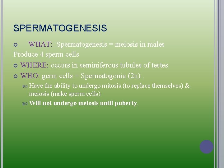 SPERMATOGENESIS WHAT: Spermatogenesis = meiosis in males Produce 4 sperm cells WHERE: occurs in