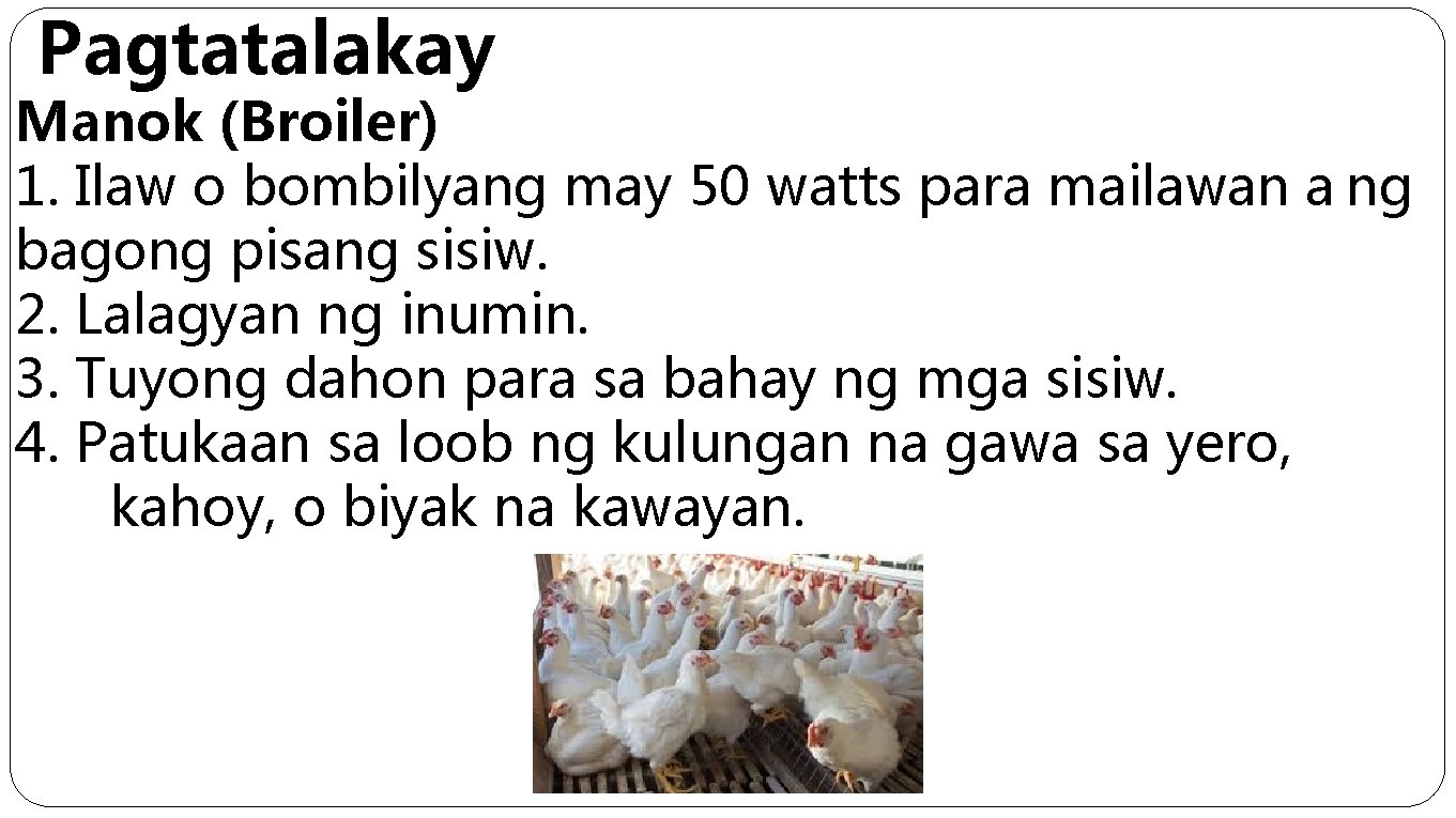 Pagtatalakay Manok (Broiler) 1. Ilaw o bombilyang may 50 watts para mailawan a ng