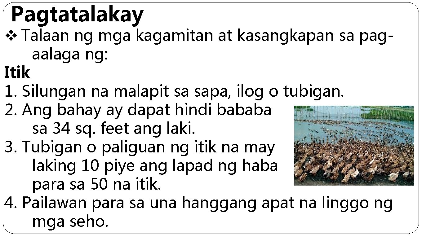 Pagtatalakay v Talaan ng mga kagamitan at kasangkapan sa pagaalaga ng: Itik 1. Silungan