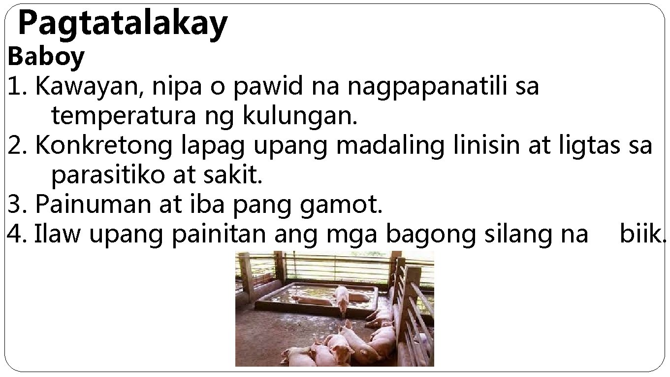 Pagtatalakay Baboy 1. Kawayan, nipa o pawid na nagpapanatili sa temperatura ng kulungan. 2.