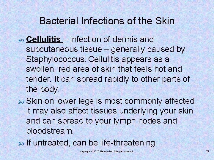 Bacterial Infections of the Skin Cellulitis – infection of dermis and subcutaneous tissue –