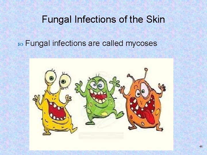 Fungal Infections of the Skin Fungal infections are called mycoses 41 