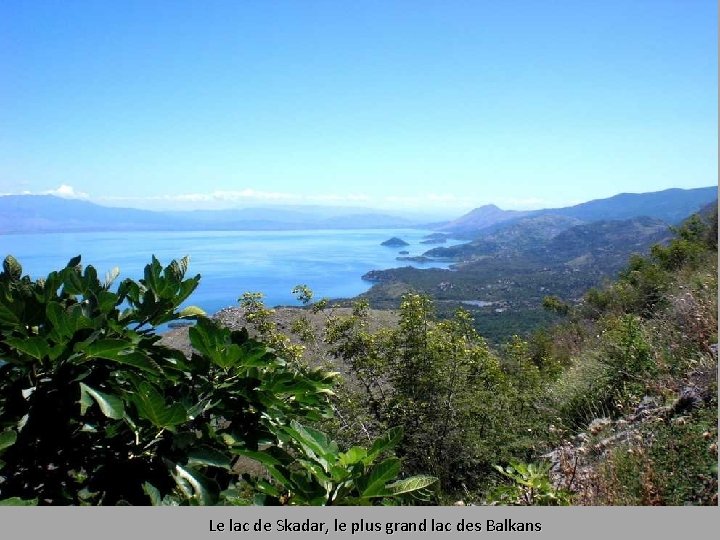 Le lac de Skadar, le plus grand lac des Balkans 