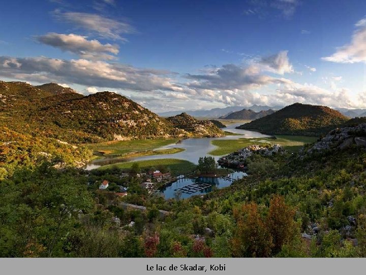 Le lac de Skadar, Kobi 