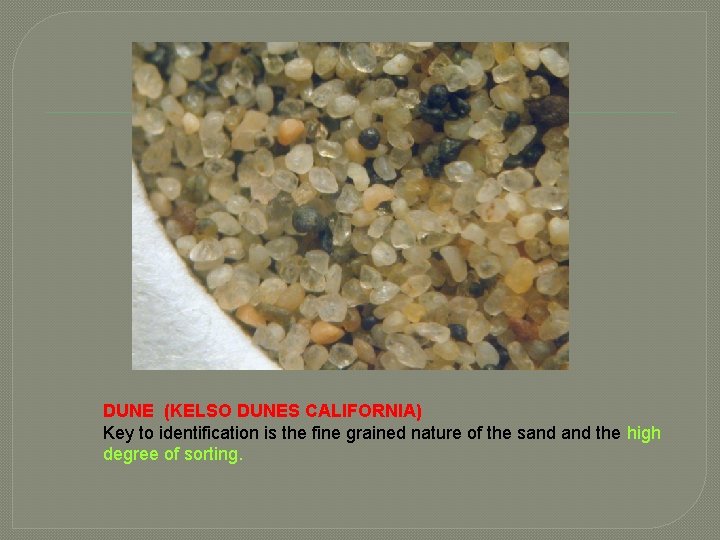 DUNE (KELSO DUNES CALIFORNIA) Key to identification is the fine grained nature of the