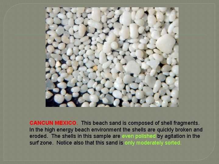 CANCUN MEXICO. This beach sand is composed of shell fragments. In the high energy