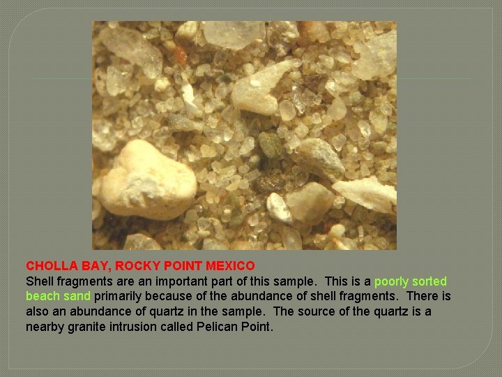 CHOLLA BAY, ROCKY POINT MEXICO Shell fragments are an important part of this sample.