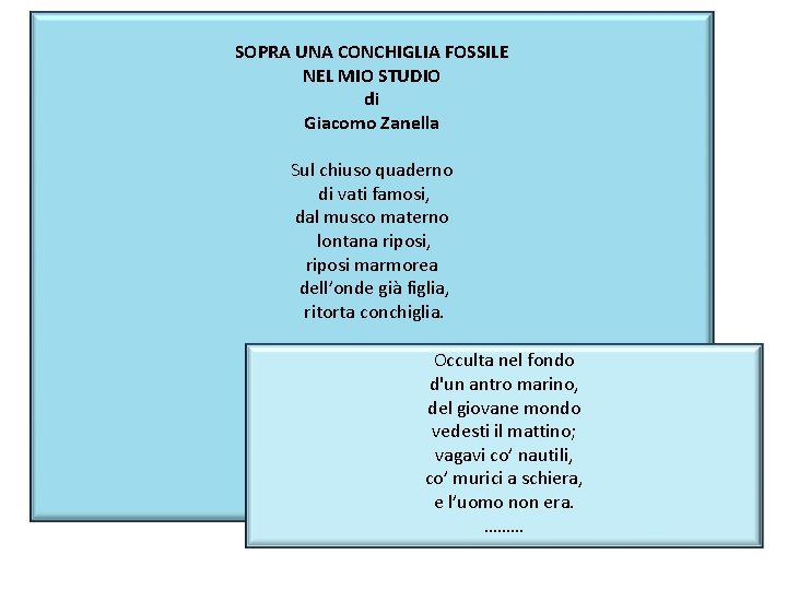 SOPRA UNA CONCHIGLIA FOSSILE NEL MIO STUDIO di Giacomo Zanella Sul chiuso quaderno di