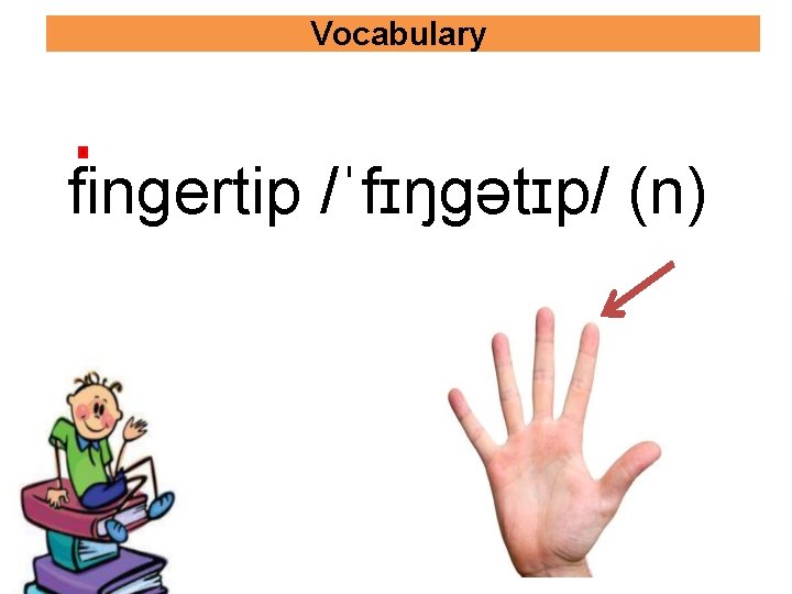 Vocabulary fingertip /ˈfɪŋɡətɪp/ (n) 