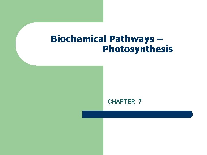 Biochemical Pathways – Photosynthesis CHAPTER 7 