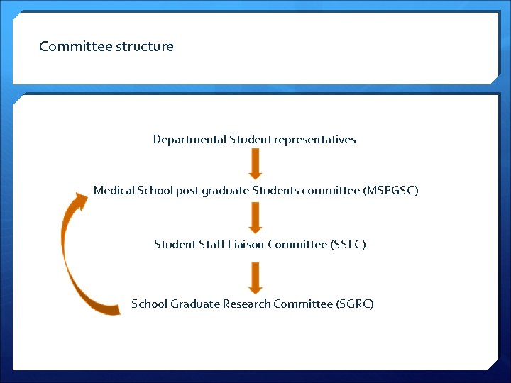 Committee structure Departmental Student representatives Medical School post graduate Students committee (MSPGSC) Student Staff