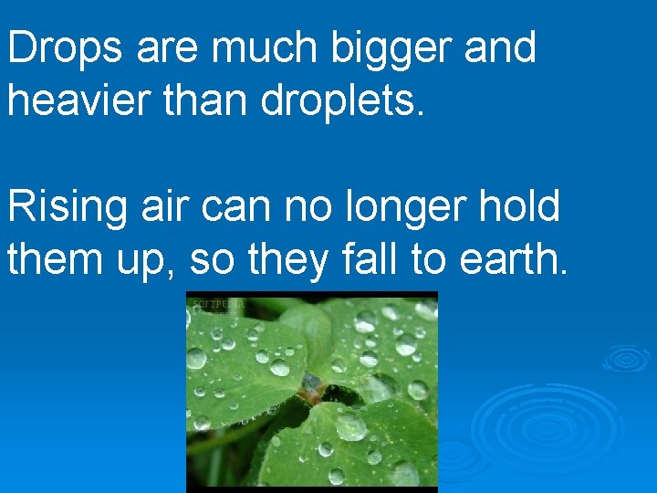 Drops are much bigger and heavier than droplets. Rising air can no longer hold