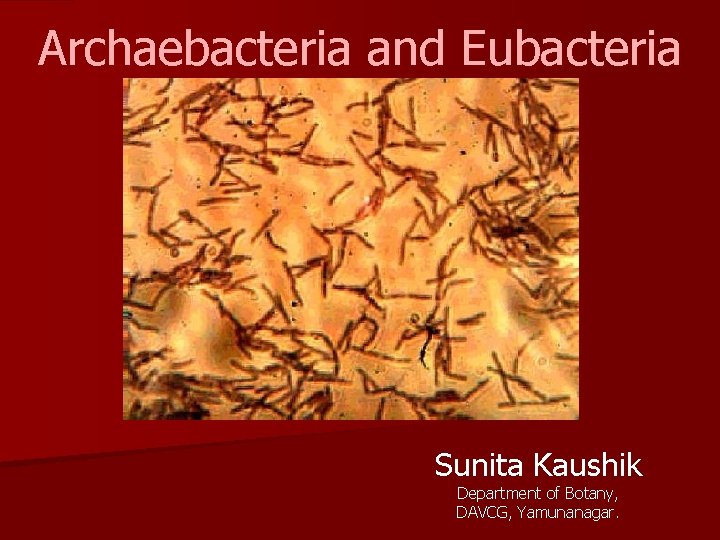 Archaebacteria and Eubacteria Sunita Kaushik Department of Botany, DAVCG, Yamunanagar. 