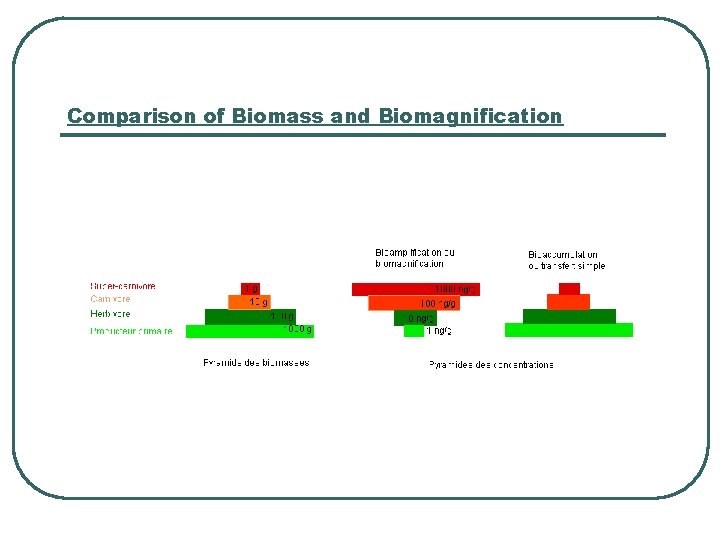 Comparison of Biomass and Biomagnification 