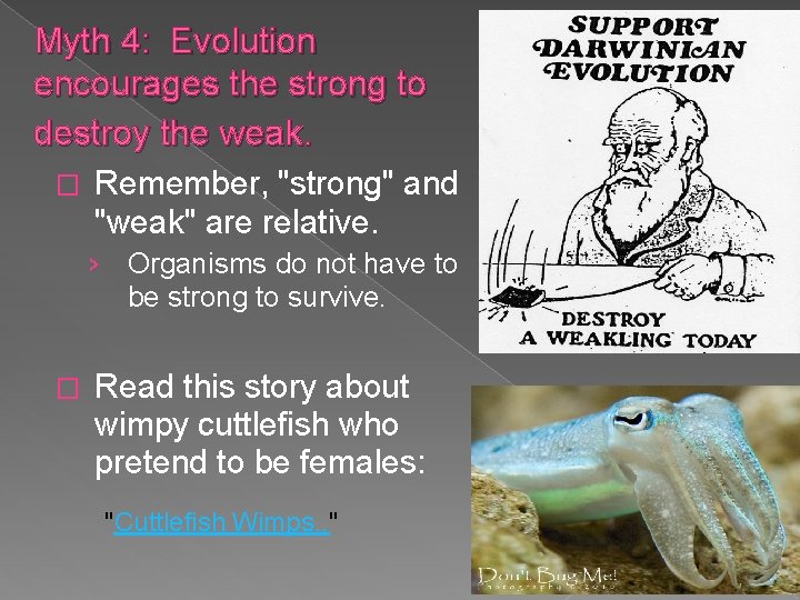 Myth 4: Evolution encourages the strong to destroy the weak. � Remember, "strong" and