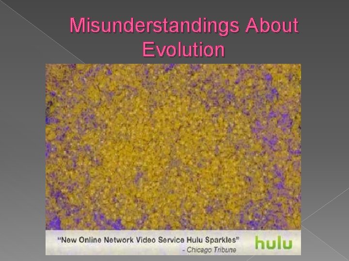 Misunderstandings About Evolution 