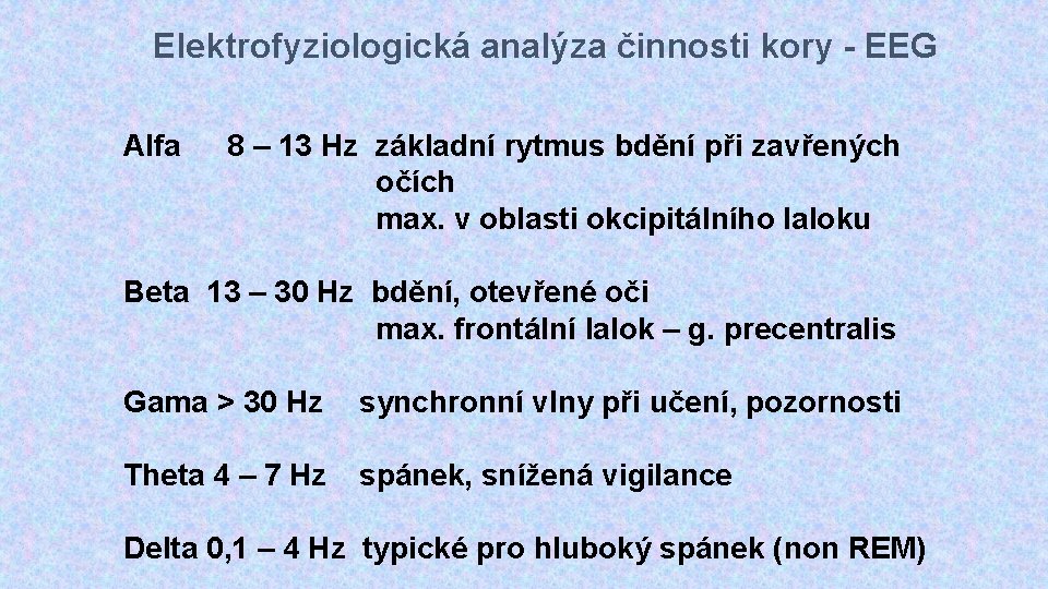 Elektrofyziologická analýza činnosti kory - EEG Alfa 8 – 13 Hz základní rytmus bdění