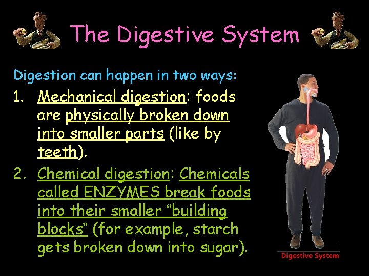The Digestive System Digestion can happen in two ways: Mouth 1. Mechanical digestion: foods