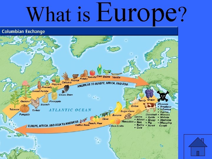 What is Europe? 