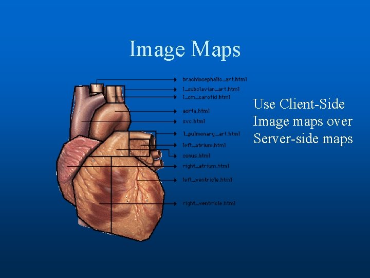 Image Maps Use Client-Side Image maps over Server-side maps 