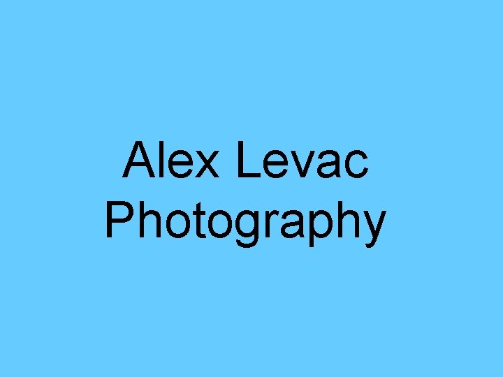 Alex Levac Photography 