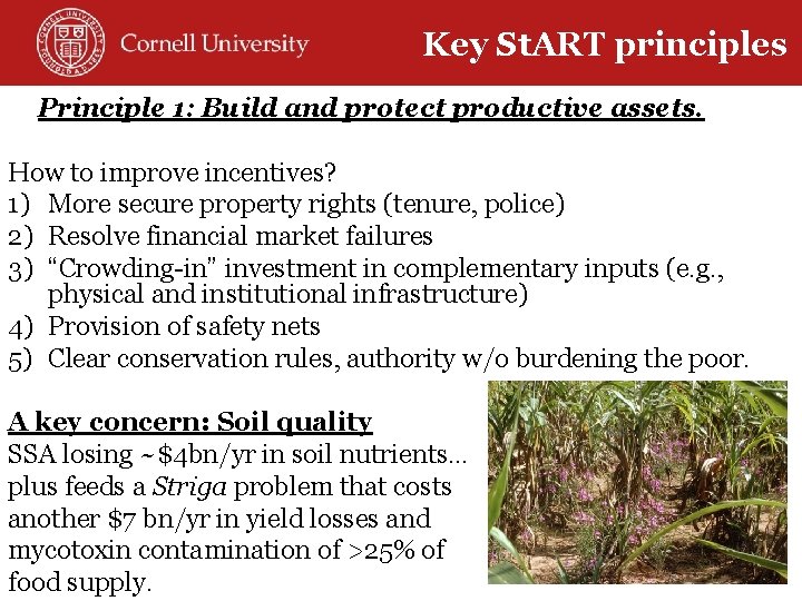 Key St. ART principles Principle 1: Build and protect productive assets. How to improve