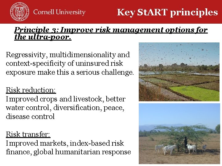 Key St. ART principles Principle 3: Improve risk management options for the ultra-poor. Regressivity,