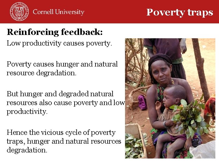 Poverty traps Reinforcing feedback: Low productivity causes poverty. Poverty causes hunger and natural resource
