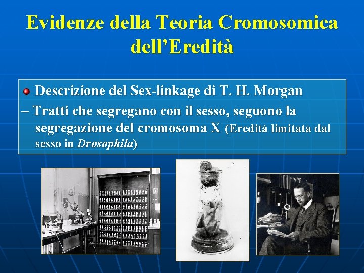 Evidenze della Teoria Cromosomica dell’Eredità Descrizione del Sex-linkage di T. H. Morgan – Tratti