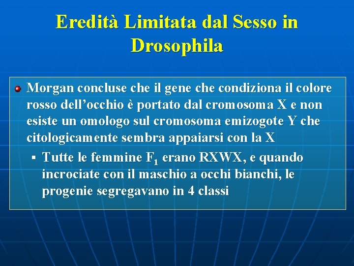 Eredità Limitata dal Sesso in Drosophila Morgan concluse che il gene che condiziona il