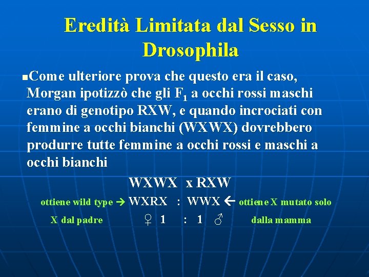 Eredità Limitata dal Sesso in Drosophila Come ulteriore prova che questo era il caso,