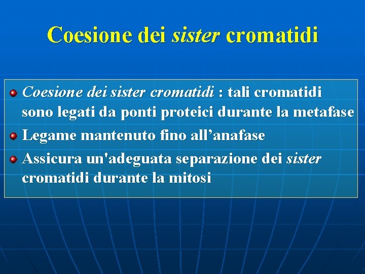 Coesione dei sister cromatidi : tali cromatidi sono legati da ponti proteici durante la