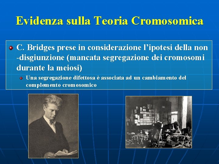 Evidenza sulla Teoria Cromosomica C. Bridges prese in considerazione l’ipotesi della non -disgiunzione (mancata