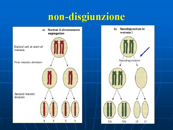 non-disgiunzione 