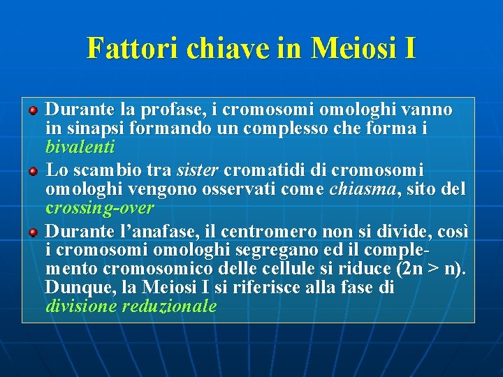 Fattori chiave in Meiosi I Durante la profase, i cromosomi omologhi vanno in sinapsi