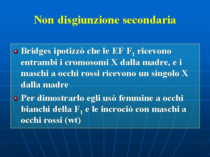 Non disgiunzione secondaria Bridges ipotizzò che le EF F 1 ricevono entrambi i cromosomi