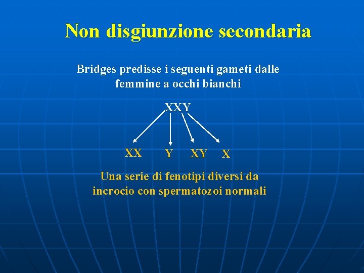 Non disgiunzione secondaria Bridges predisse i seguenti gameti dalle femmine a occhi bianchi XXY