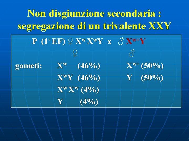 Non disgiunzione secondaria : segregazione di un trivalente XXY P (1◦ EF) ♀ Xw