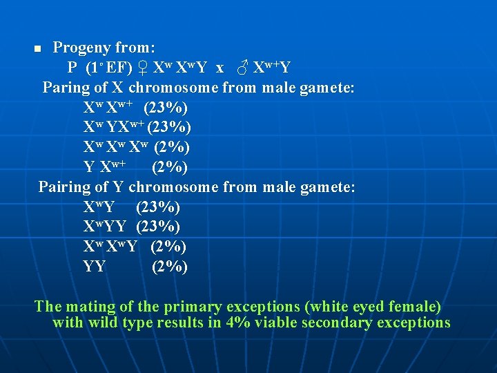 Progeny from: P (1◦ EF) ♀ Xw Xw. Y x ♂ Xw+Y Paring of