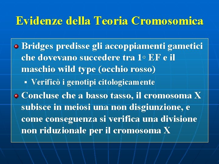 Evidenze della Teoria Cromosomica Bridges predisse gli accoppiamenti gametici che dovevano succedere tra 1◦