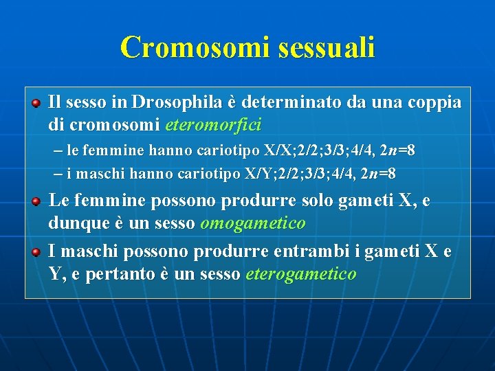 Cromosomi sessuali Il sesso in Drosophila è determinato da una coppia di cromosomi eteromorfici