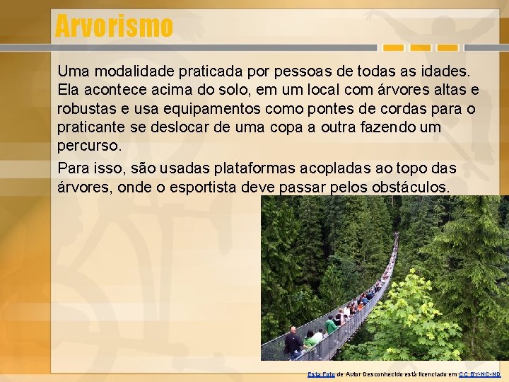 Arvorismo Uma modalidade praticada por pessoas de todas as idades. Ela acontece acima do