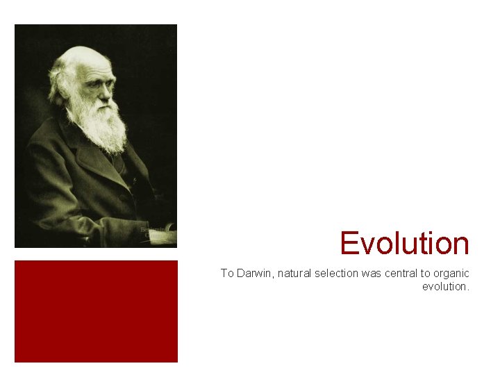Evolution To Darwin, natural selection was central to organic evolution. 