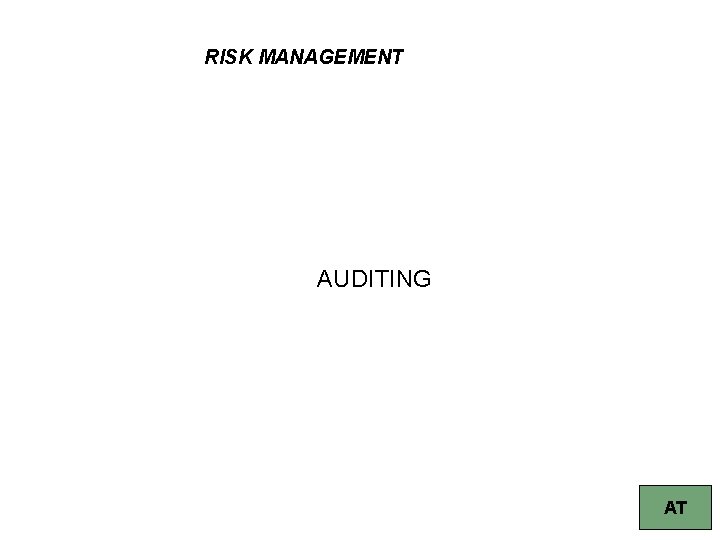 RISK MANAGEMENT AUDITING 54 AT 