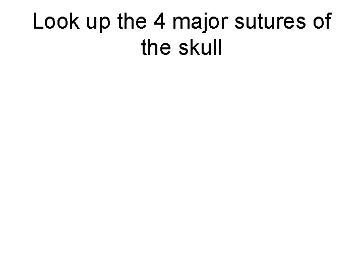 Look up the 4 major sutures of the skull 