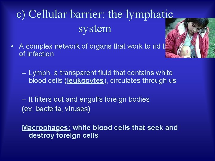 c) Cellular barrier: the lymphatic system • A complex network of organs that work
