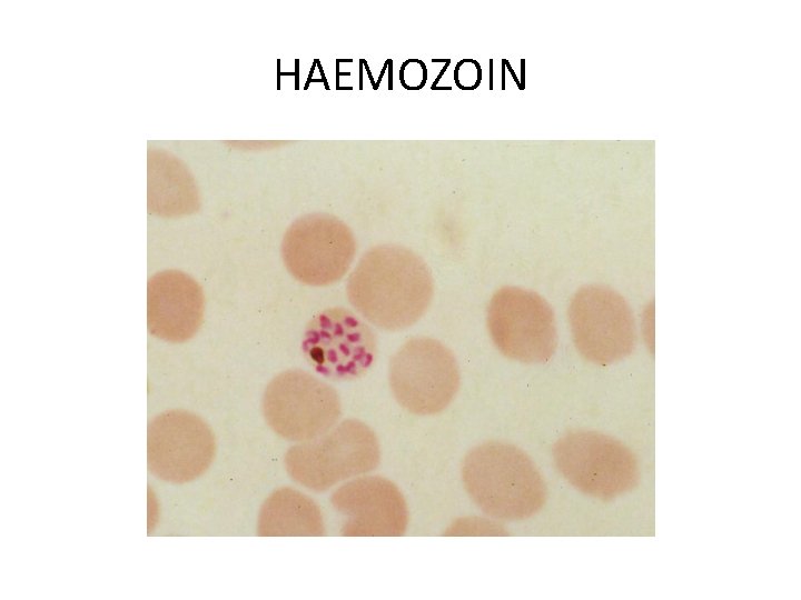 HAEMOZOIN 