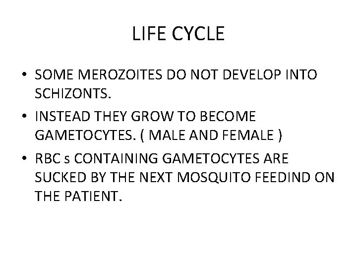 LIFE CYCLE • SOME MEROZOITES DO NOT DEVELOP INTO SCHIZONTS. • INSTEAD THEY GROW