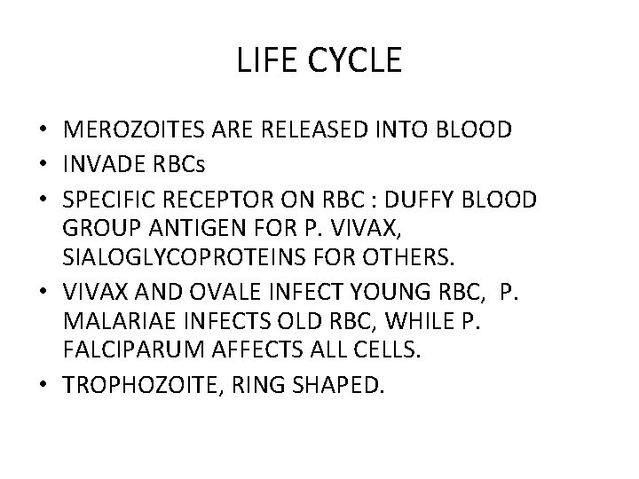 LIFE CYCLE • MEROZOITES ARE RELEASED INTO BLOOD • INVADE RBCs • SPECIFIC RECEPTOR