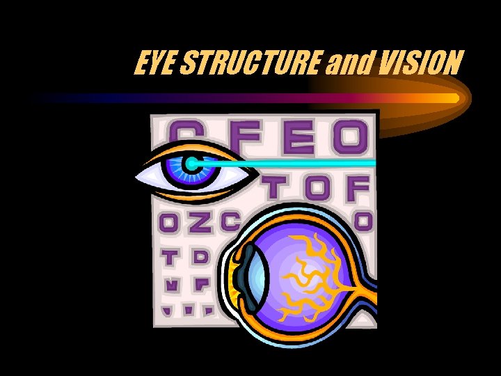 EYE STRUCTURE and VISION 